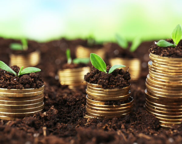 Business concept: golden coins in soil with young plants on nature background